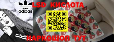 стаф Будённовск