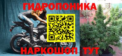 стаф Будённовск