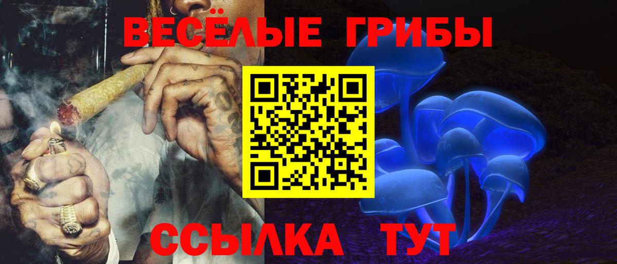 Галлюциногенные грибы Magic Shrooms Новоуральск