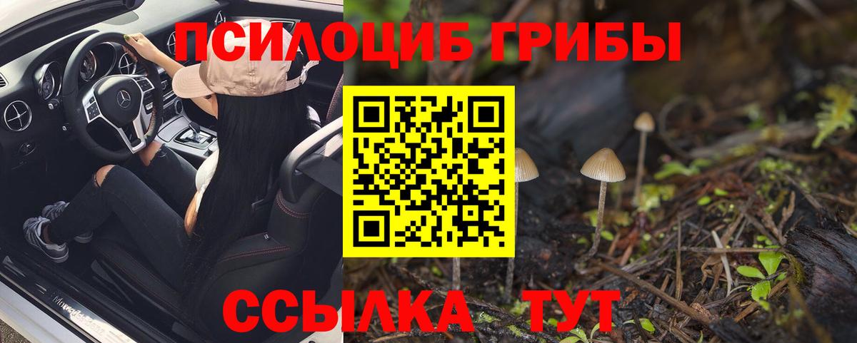 где купить наркоту  Галлюциногенные грибы Psilocybine cubensis  Вход с VPN  Новоуральск 